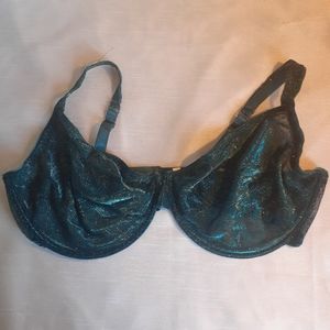 Sheer shimmery bra by Ashley Stewart